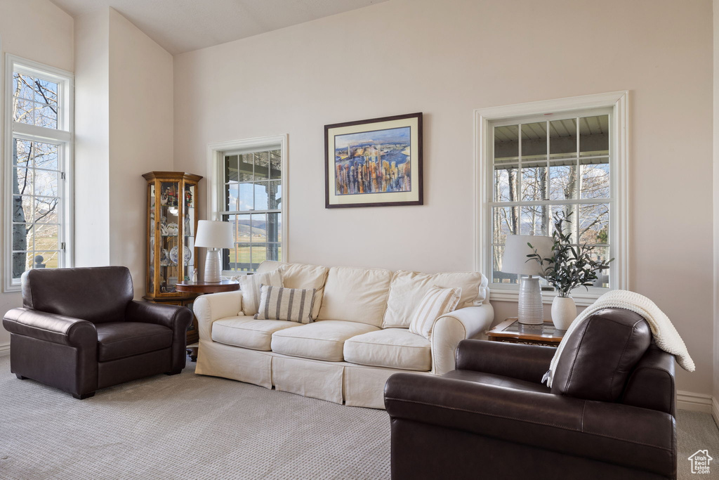 Living room with baseboards, a wealth of natural light, and carpet