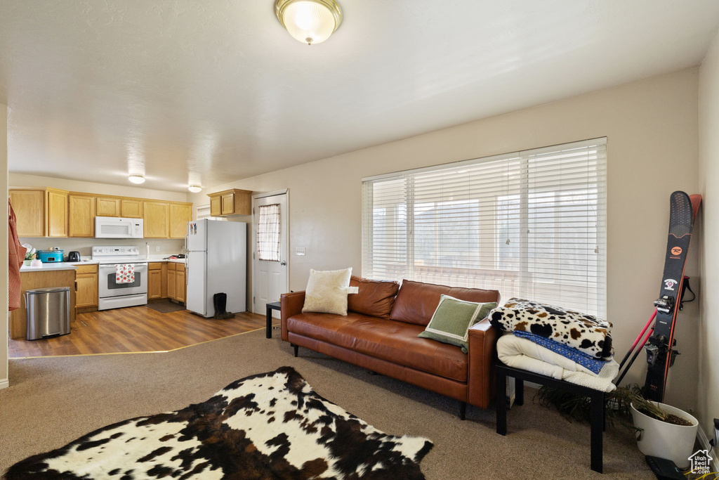 Living area featuring carpet floors and wood finished floors