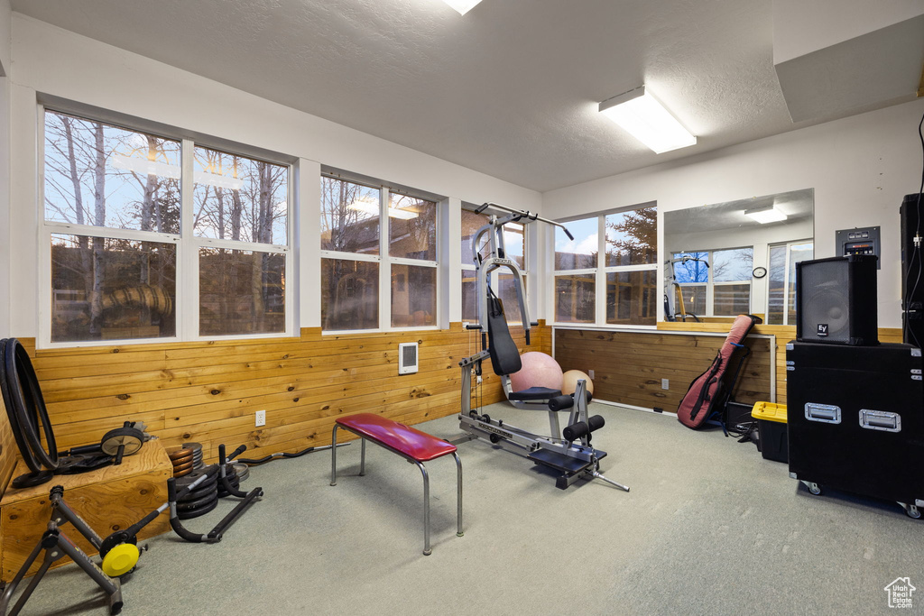 Exercise room featuring carpet and wooden walls