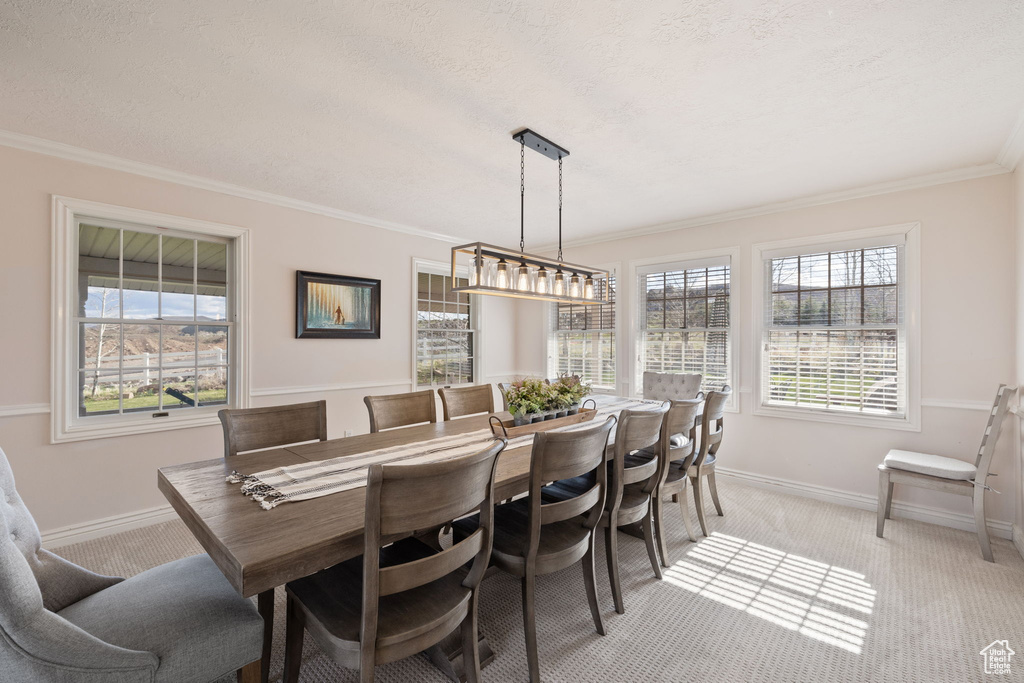 Dining space featuring baseboards, light carpet, and ornamental molding