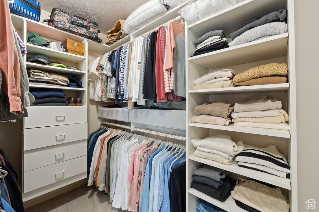 Walk in closet with carpet floors