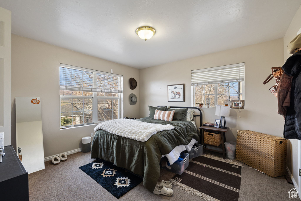 Bedroom featuring carpet flooring, baseboards, and multiple windows