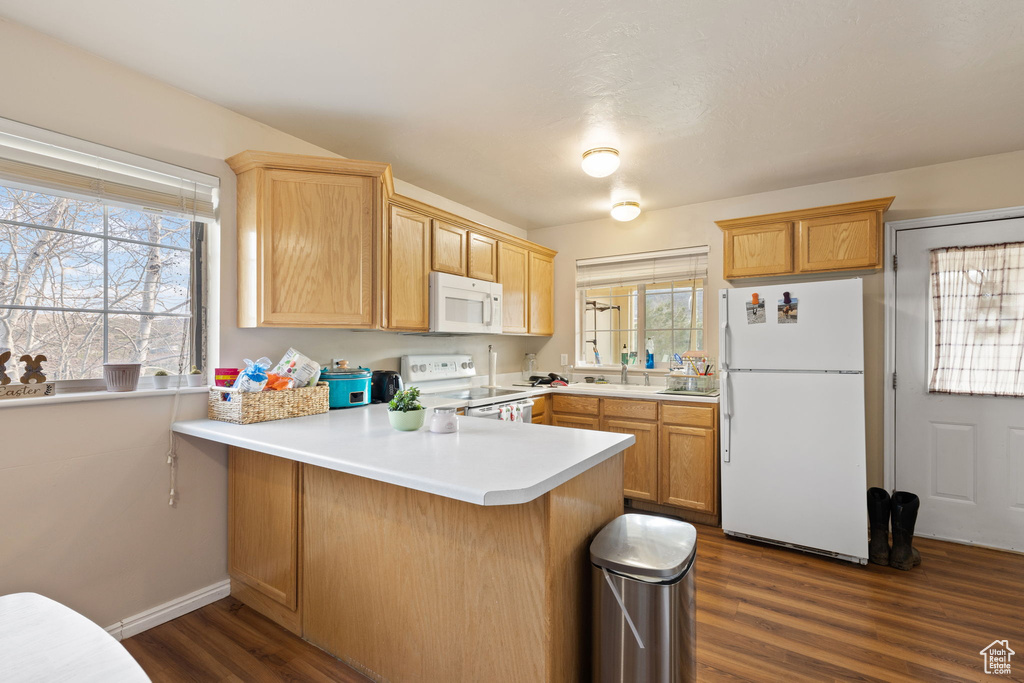 Kitchen featuring a peninsula, dark wood-style flooring, white appliances, and a healthy amount of sunlight