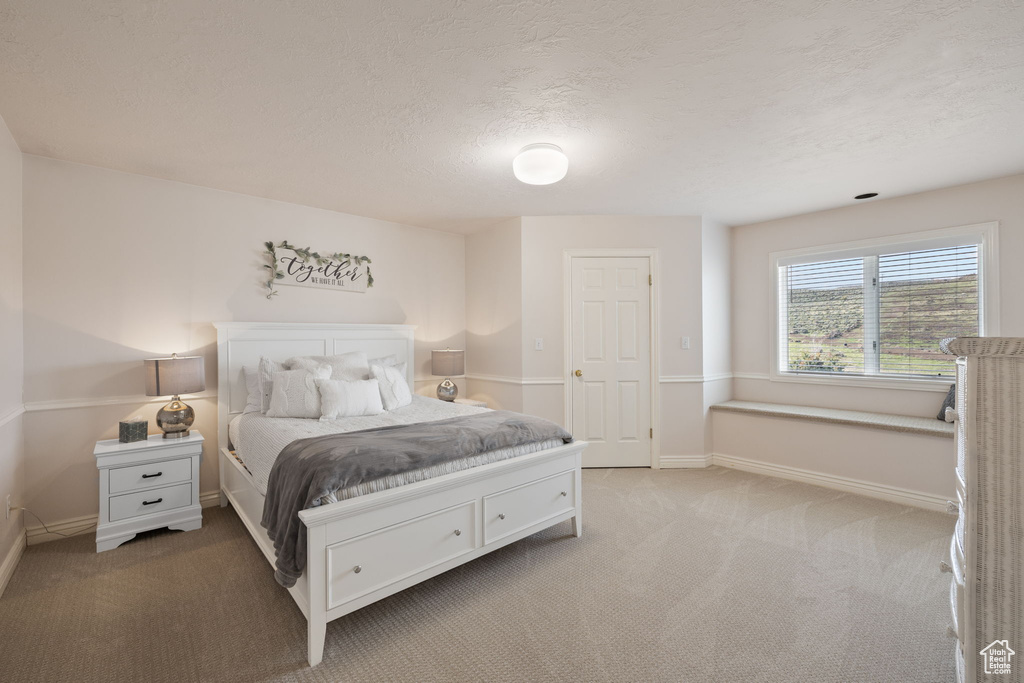 Bedroom featuring baseboards, light carpet, and a textured ceiling