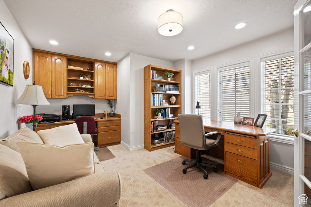 Office featuring a healthy amount of sunlight, recessed lighting, and light colored carpet