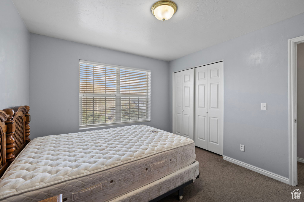 Bedroom featuring a closet, carpet flooring, and baseboards