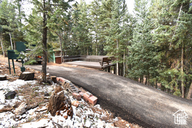 View of street with a wooded view