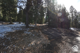 View of road with a view of trees