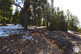View of nature