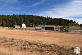 View of yard with a forest view and fence