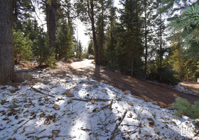 View of nature with a wooded view