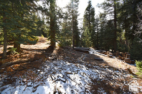 View of landscape featuring a forest view