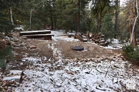 View of yard with a wooded view