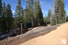 View of street with a view of trees