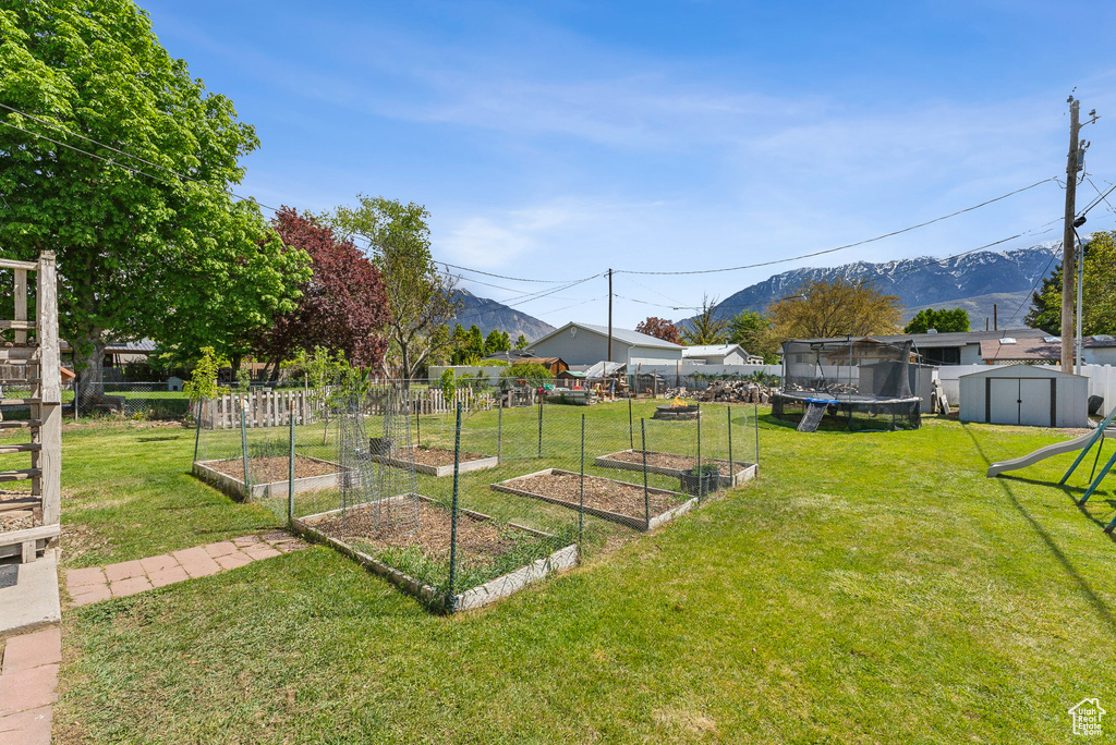 View of yard with an outdoor structure, a garden, a storage unit, a trampoline, and a mountain view
