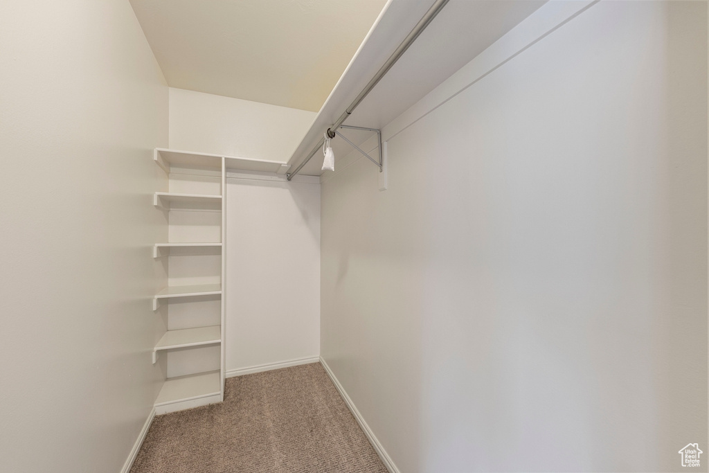 Spacious closet featuring carpet flooring