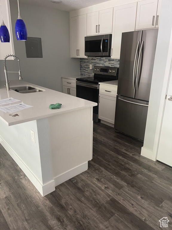 Kitchen with electric panel, tasteful backsplash, a sink, dark wood finished floors, and stainless steel appliances