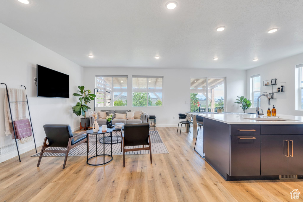 Kitchen with a healthy amount of sunlight, light wood-style floors, open floor plan, light countertops, and a sink