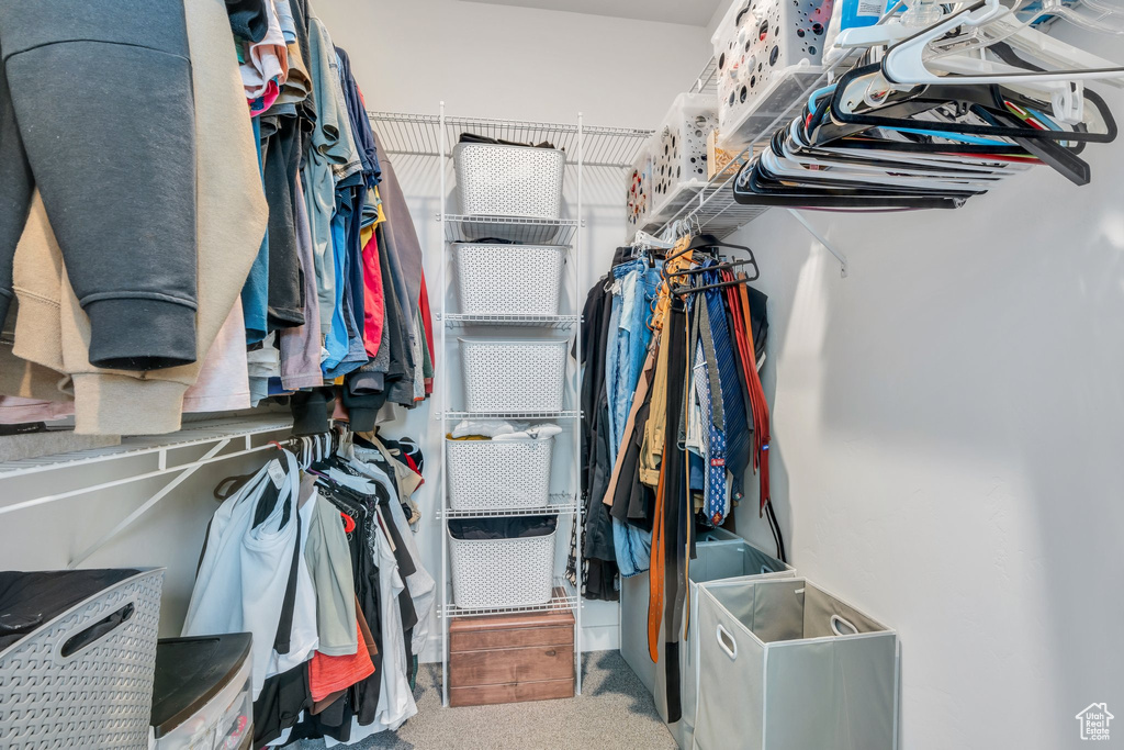 Spacious closet featuring carpet floors