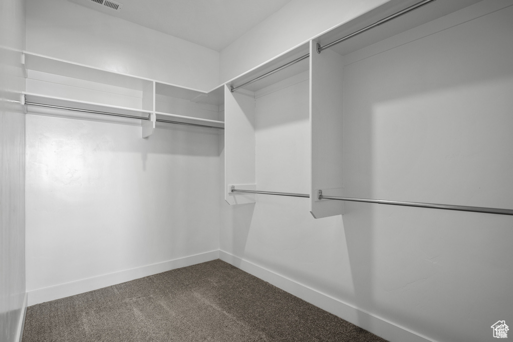 Spacious closet featuring dark colored carpet