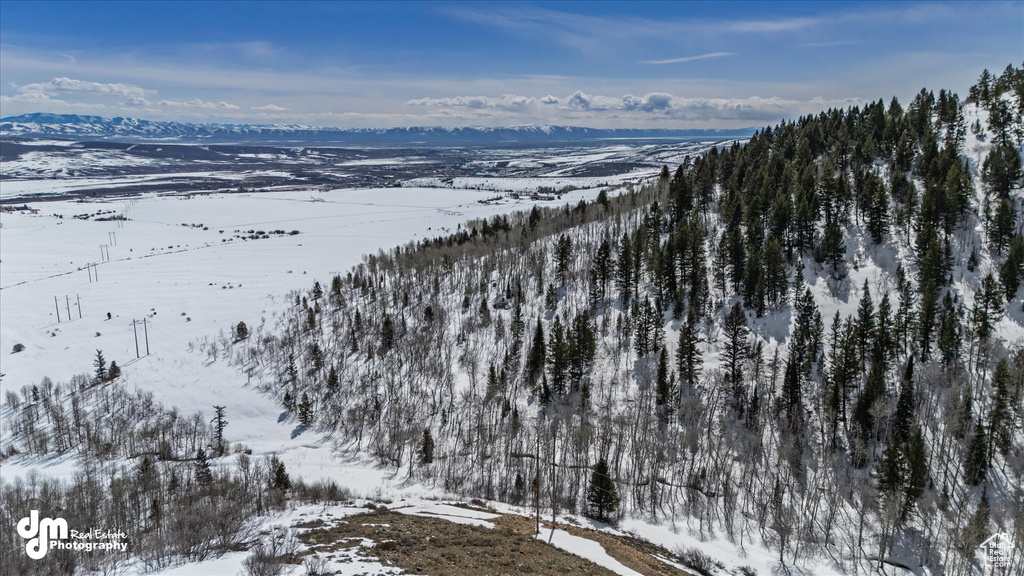Snowy aerial view with a mountain view