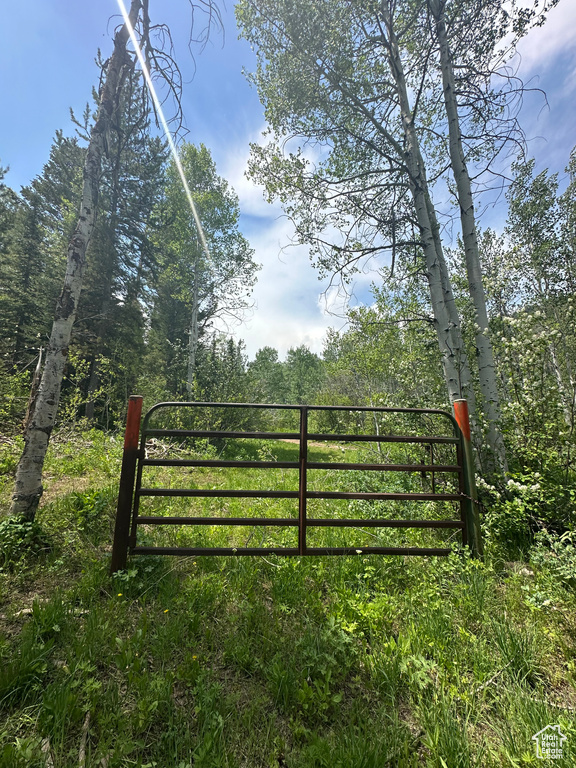 View of gate