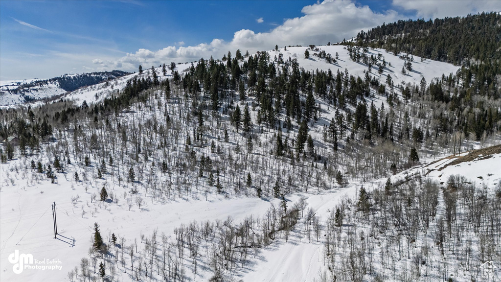 Snowy aerial view featuring a mountain view and a forest view