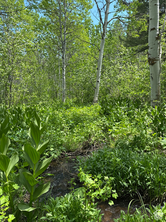 View of undeveloped land