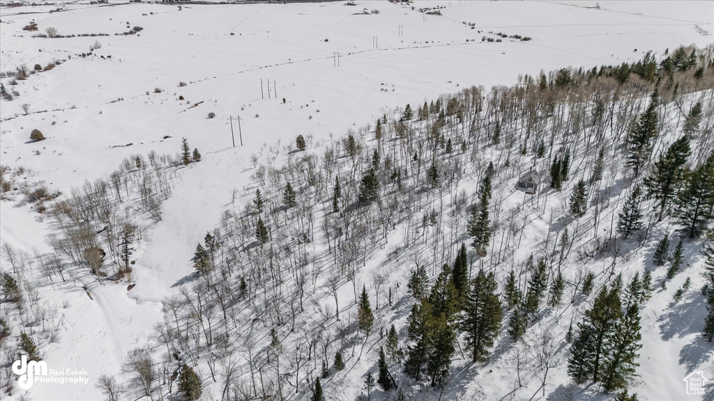 Snowy aerial view featuring a mountain view