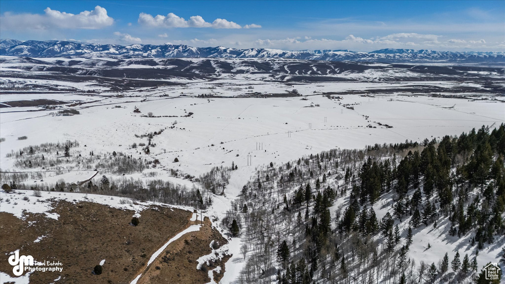 Snowy aerial view featuring a mountain view