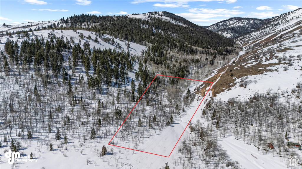Snowy aerial view featuring a mountain view