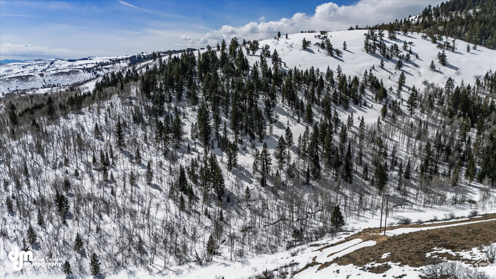 Snowy aerial view featuring a mountain view