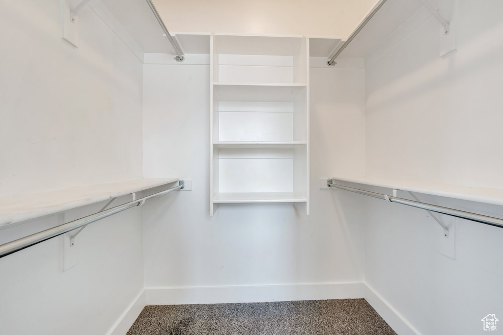 Walk in closet featuring carpet floors