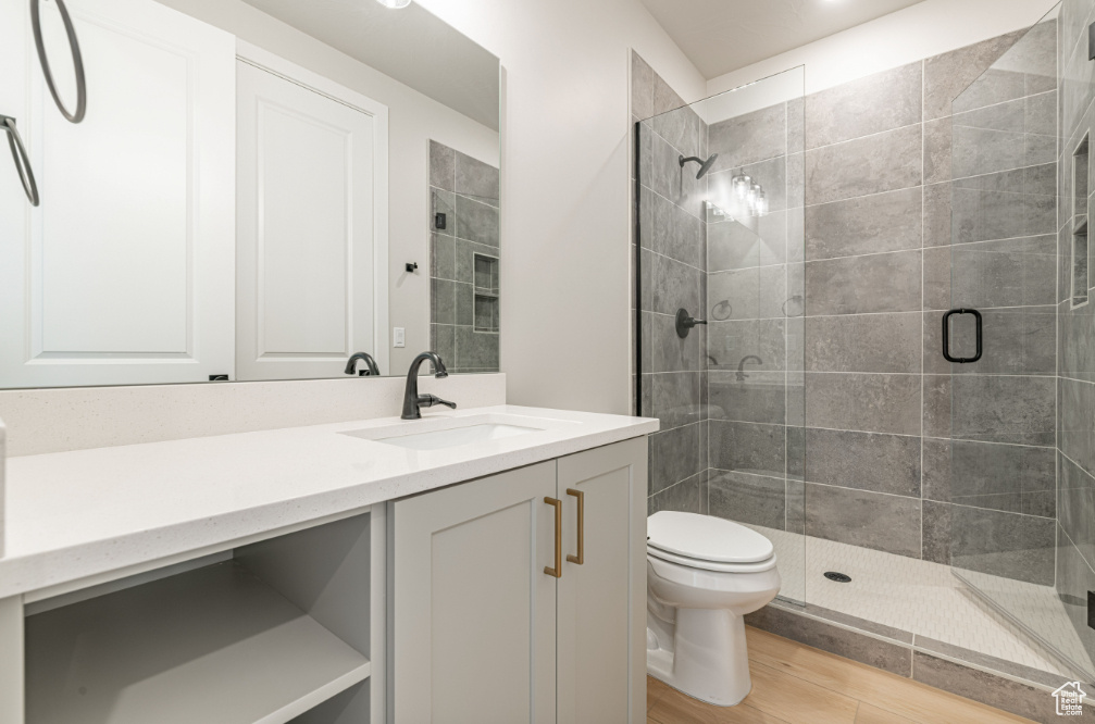 Bathroom with vanity, wood finished floors, toilet, and a shower stall