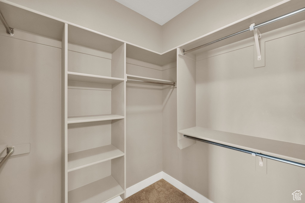Spacious closet with carpet flooring