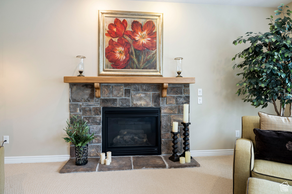 Room details with baseboards, carpet flooring, and a fireplace