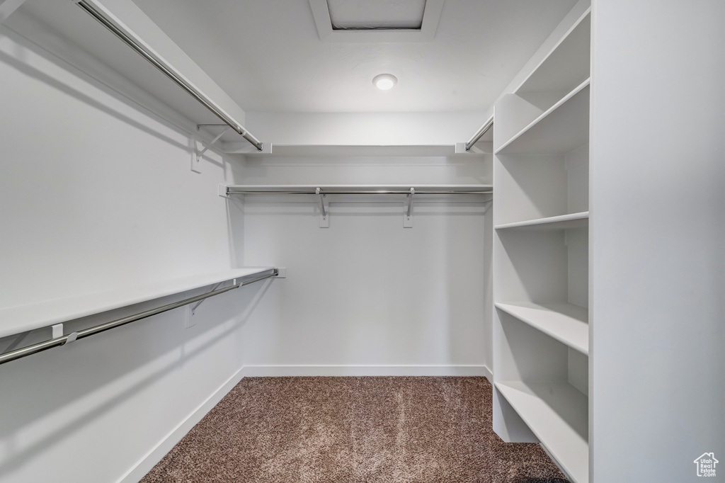 Walk in closet with carpet flooring