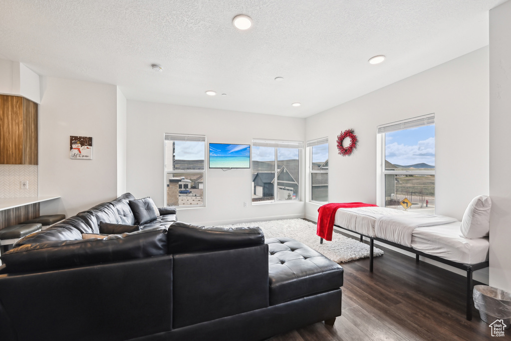 Living area with recessed lighting and dark wood finished floors