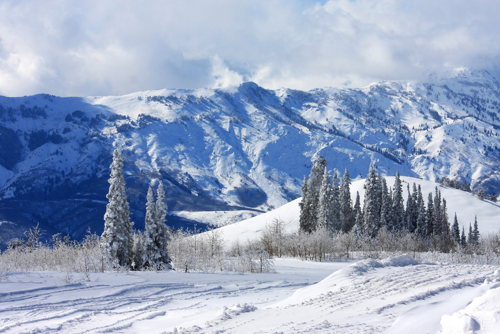 Mountain view