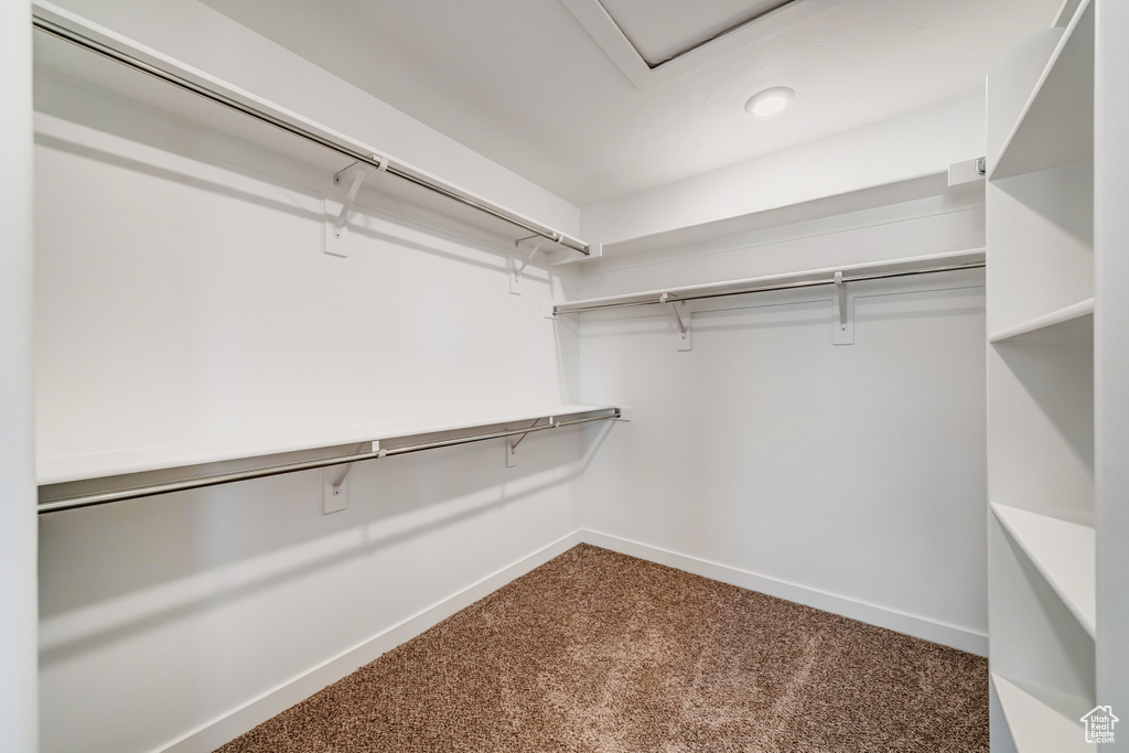 Spacious closet featuring dark carpet