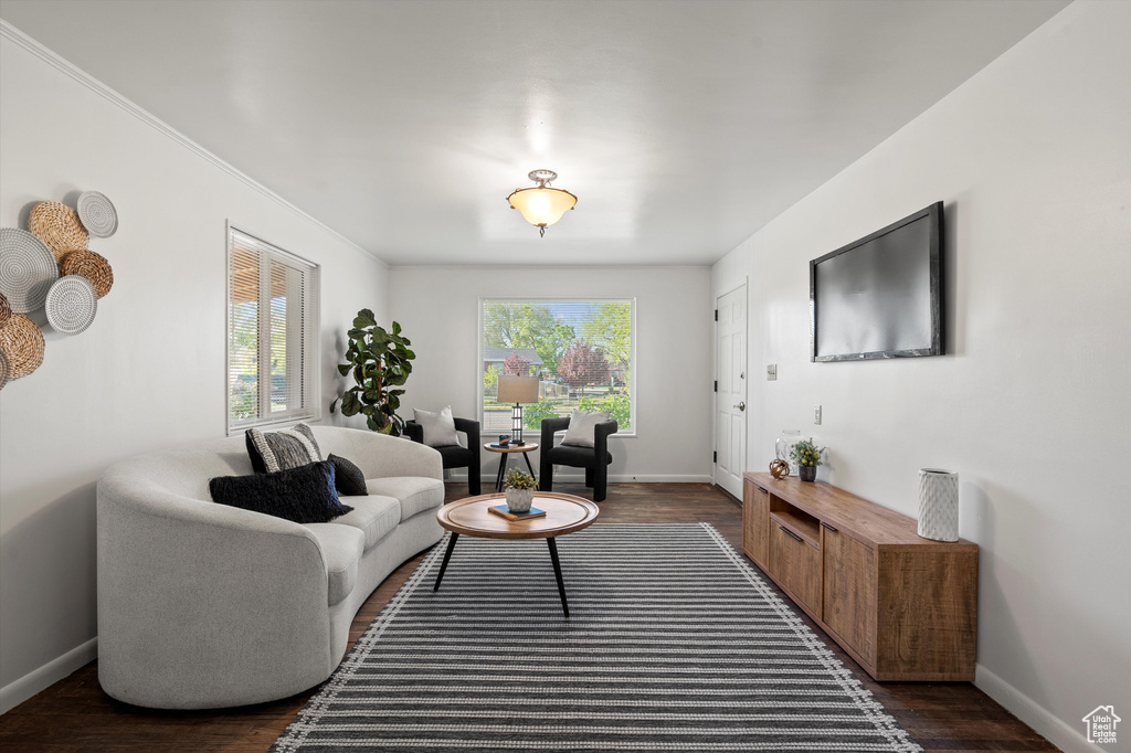 Living room featuring baseboards and dark wood-style floors