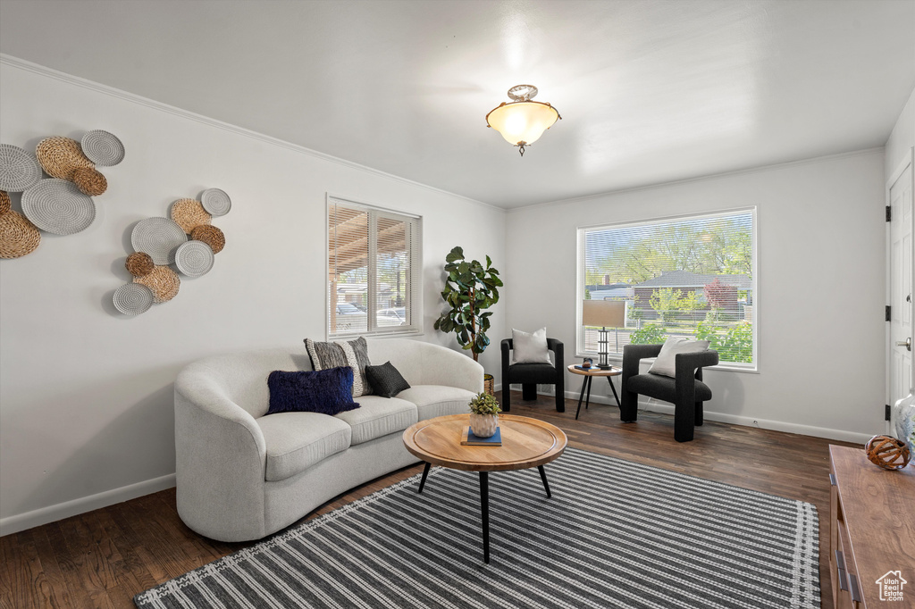 Living area with crown molding, baseboards, and wood finished floors