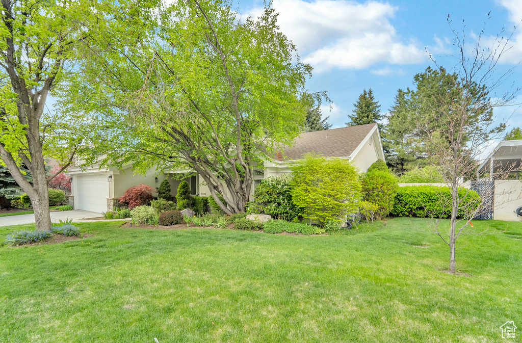 Obstructed view of property featuring a garage, stucco siding, concrete driveway, and a front yard