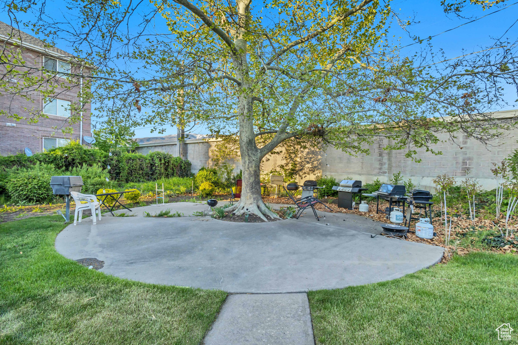 View of yard with a patio area