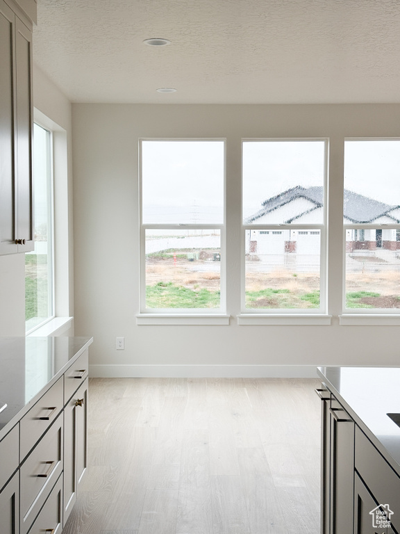Unfurnished dining area featuring light wood finished floors, baseboards, a textured ceiling, and a healthy amount of sunlight