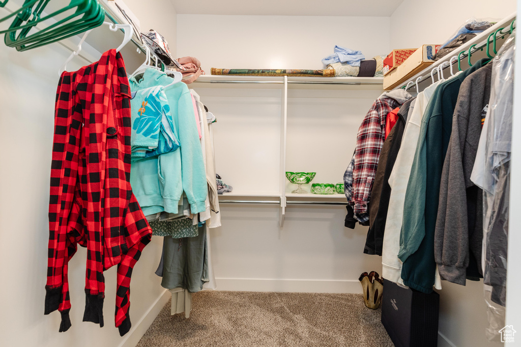 Walk in closet with carpet