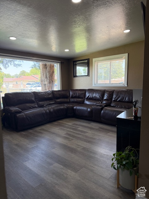 Living area with wood finished floors, a textured ceiling, and recessed lighting