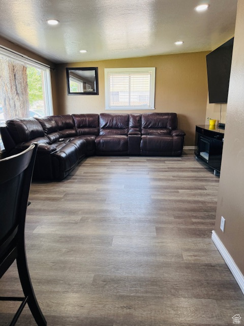 Living area with wood finished floors and recessed lighting