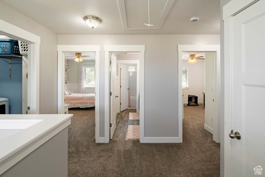 Corridor featuring carpet floors, attic access, and plenty of natural light