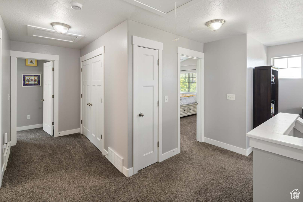 Hall with baseboards, dark colored carpet, and a wealth of natural light